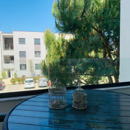 Dion's Apartment